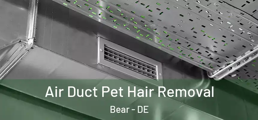  Air Duct Pet Hair Removal Bear - DE