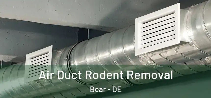  Air Duct Rodent Removal Bear - DE