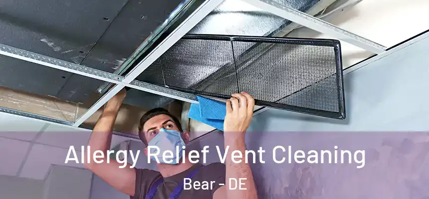 Allergy Relief Vent Cleaning Bear - DE