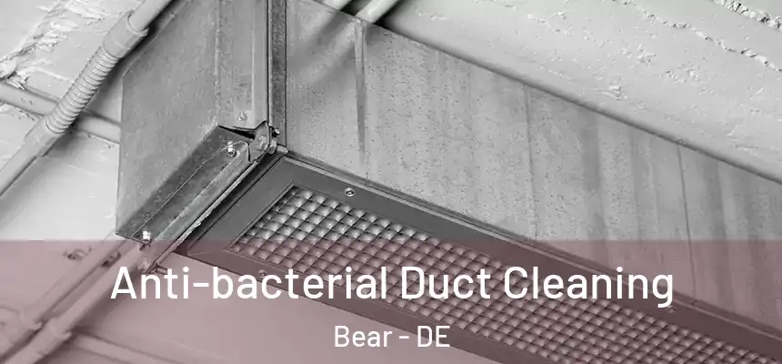 Anti-bacterial Duct Cleaning Bear - DE