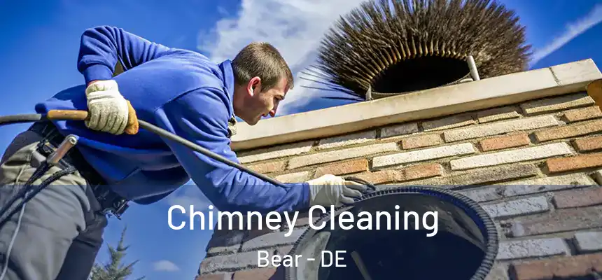 Chimney Cleaning Bear - DE