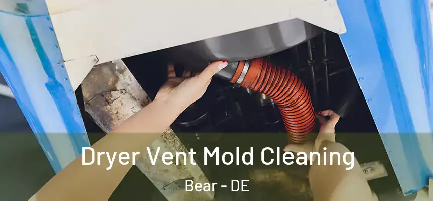  Dryer Vent Mold Cleaning Bear - DE