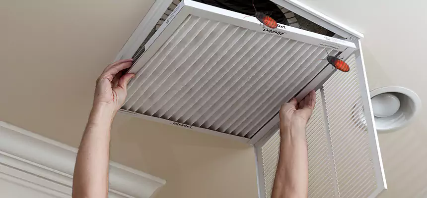 Preventive Cockroach-Proofing for Ducts in Bear