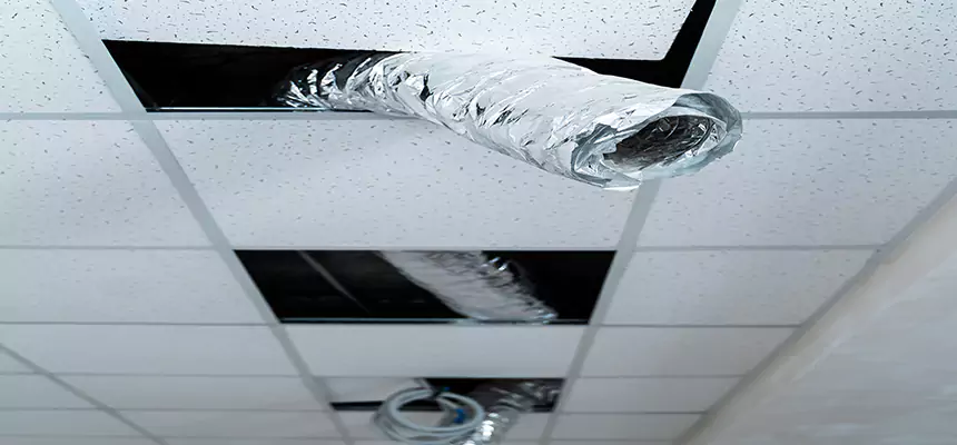 Affordable HVAC Sanitizing After Pest Removal in Bear