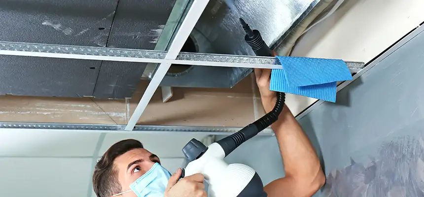 Our Air Duct Rodent Removal Services in Bear, DE