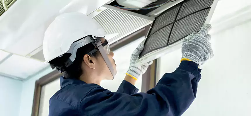 Our Mold & Mildew Removal from Air Ducts Services in Bear, DE