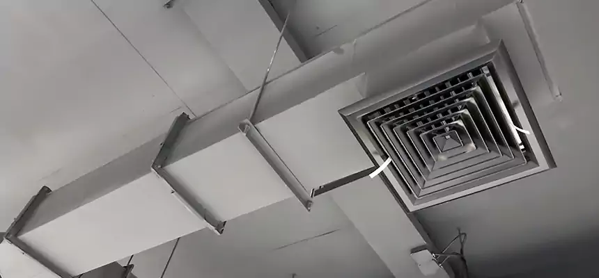 Our Rodent Droppings In Vents Services in Bear, DE