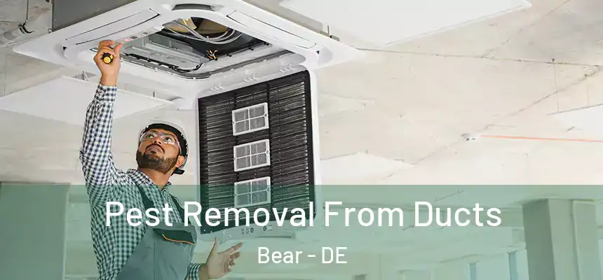  Pest Removal From Ducts Bear - DE
