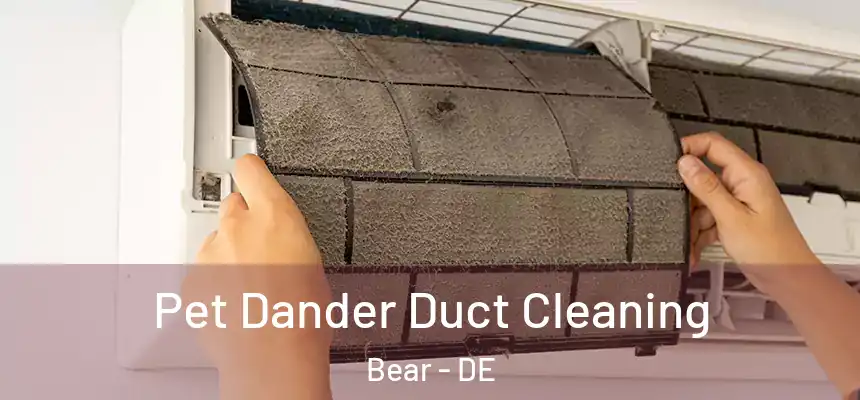  Pet Dander Duct Cleaning Bear - DE