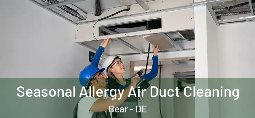 Seasonal Allergy Air Duct Cleaning Bear - DE