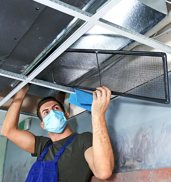 About Air Duct Bacteria Removal in Bear
