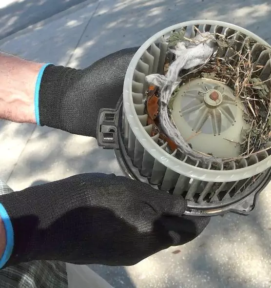 About Air Duct Mice Removal in Bear, DE