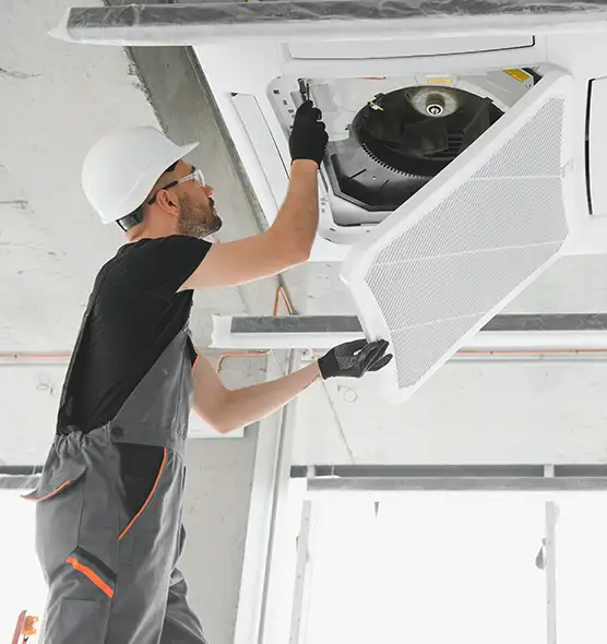 About Air Duct Rodent Removal in Bear, DE