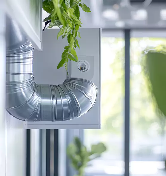 Professional Eco-Safe Dryer Vent Cleaning in Bear, DE