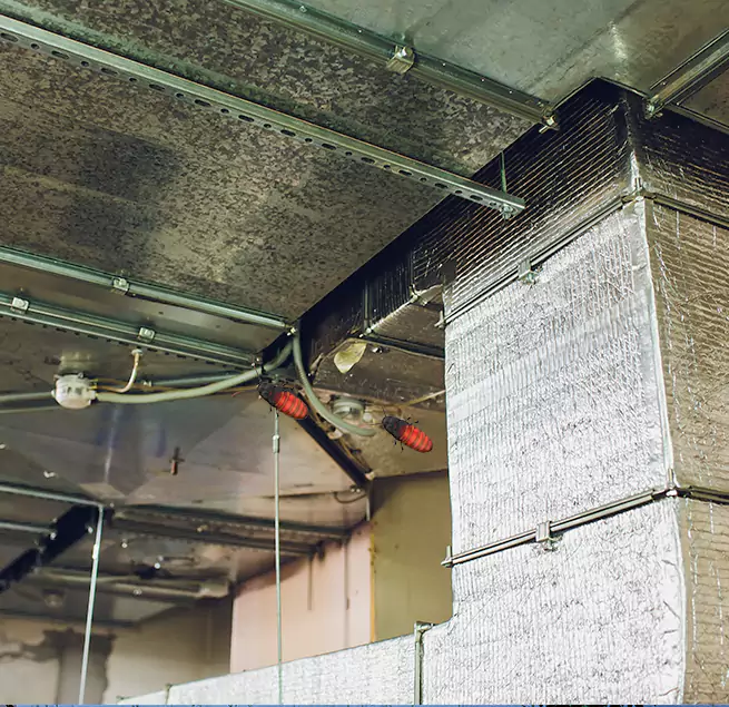 Why Homeowners & Businesses Trust Us in Bear, DE?