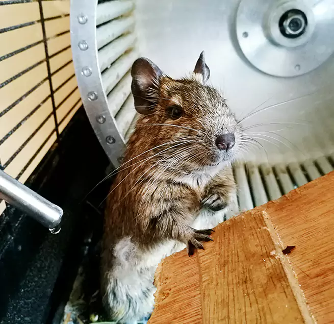 Why Homeowners & Businesses Trust Us Bear, DE?