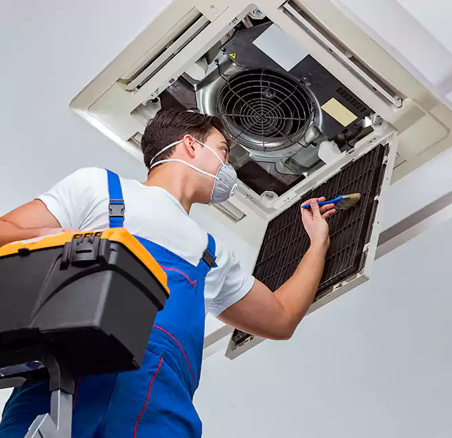 Why Homeowners & Businesses Trust Us in Bear, DE