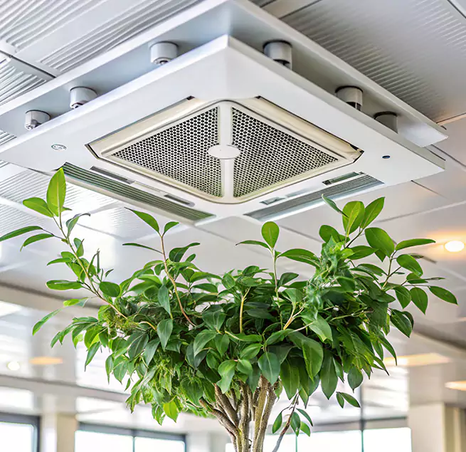 Why Homeowners & Businesses Trust Us in Bear, DE